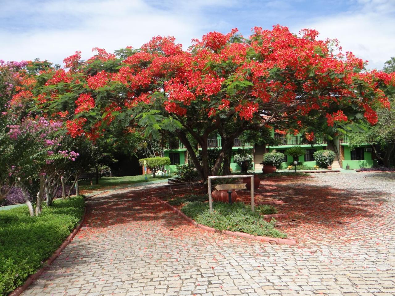 A Vista Araruama